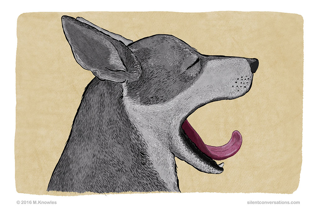 yawn, calming signal, canine communication, dog body language