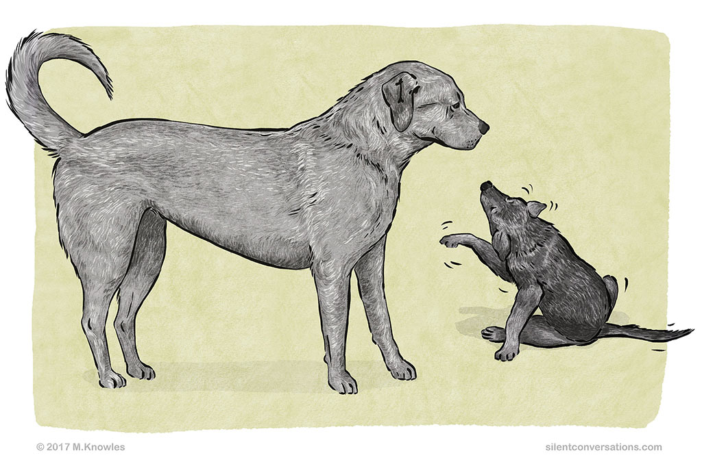 dog body language, canine communication, freezing, stillness, The Canine Ladder of Agression
