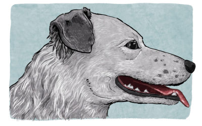 Panting – Dog Body Language