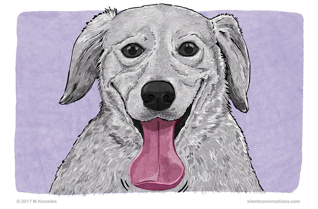 Spatulate tongue – Dog Body Language