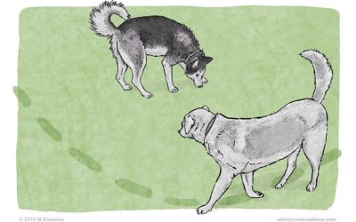 Curving – Dog Body Language