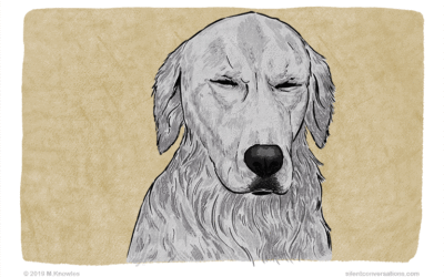 Eyes – Blinking – Dog Body Language