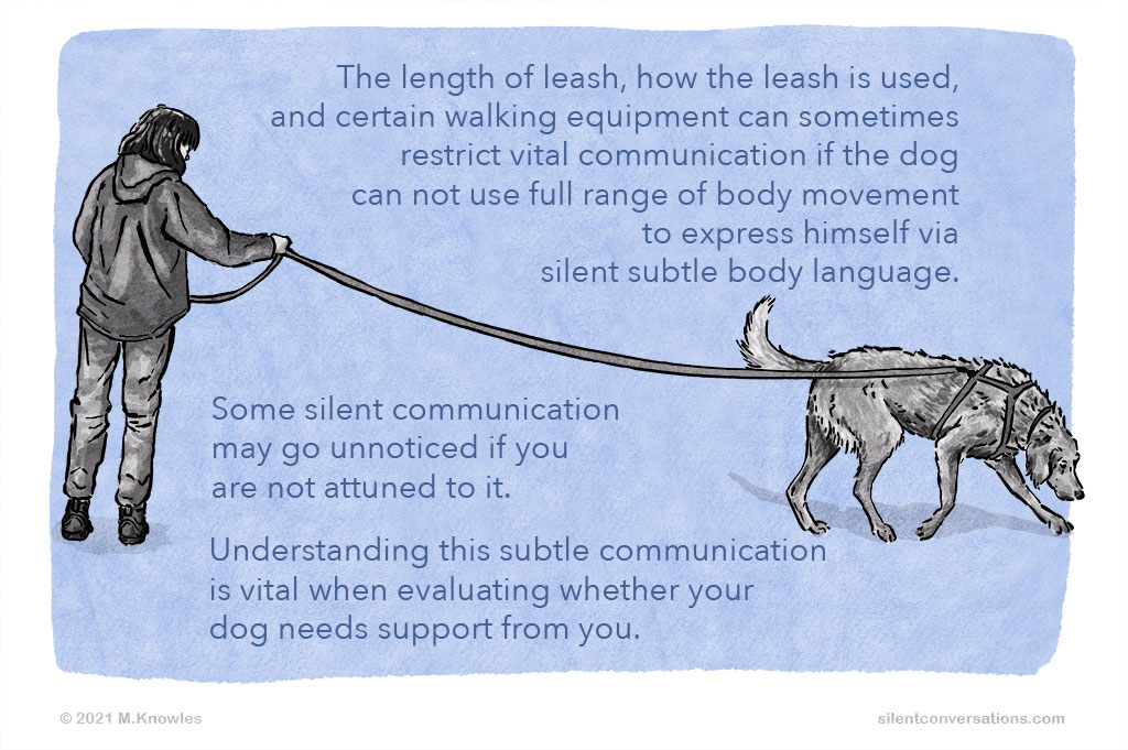 Illustration of dog being walked on a long leash and harnesss. image text: The length of leash, how the leash is used, and certain walking equipment can sometimes restrict vital communication if the dog can not use full range of body movement to express himself via silent subtle body language.