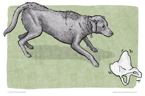 'Raised Hackles' or Piloerection - Dog Body Language - Silent Conversations